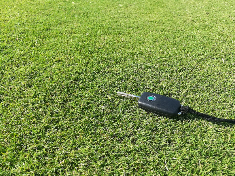 GAZON SECHERESSE ID BERMUDA